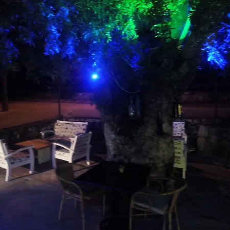 Sefa Олудениз