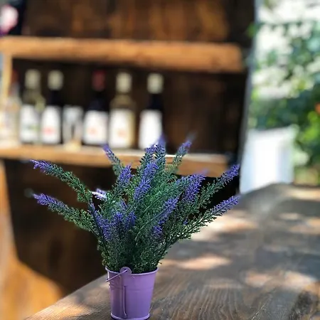 Szálloda Sefa Oludeniz